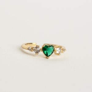 Anillo Verde